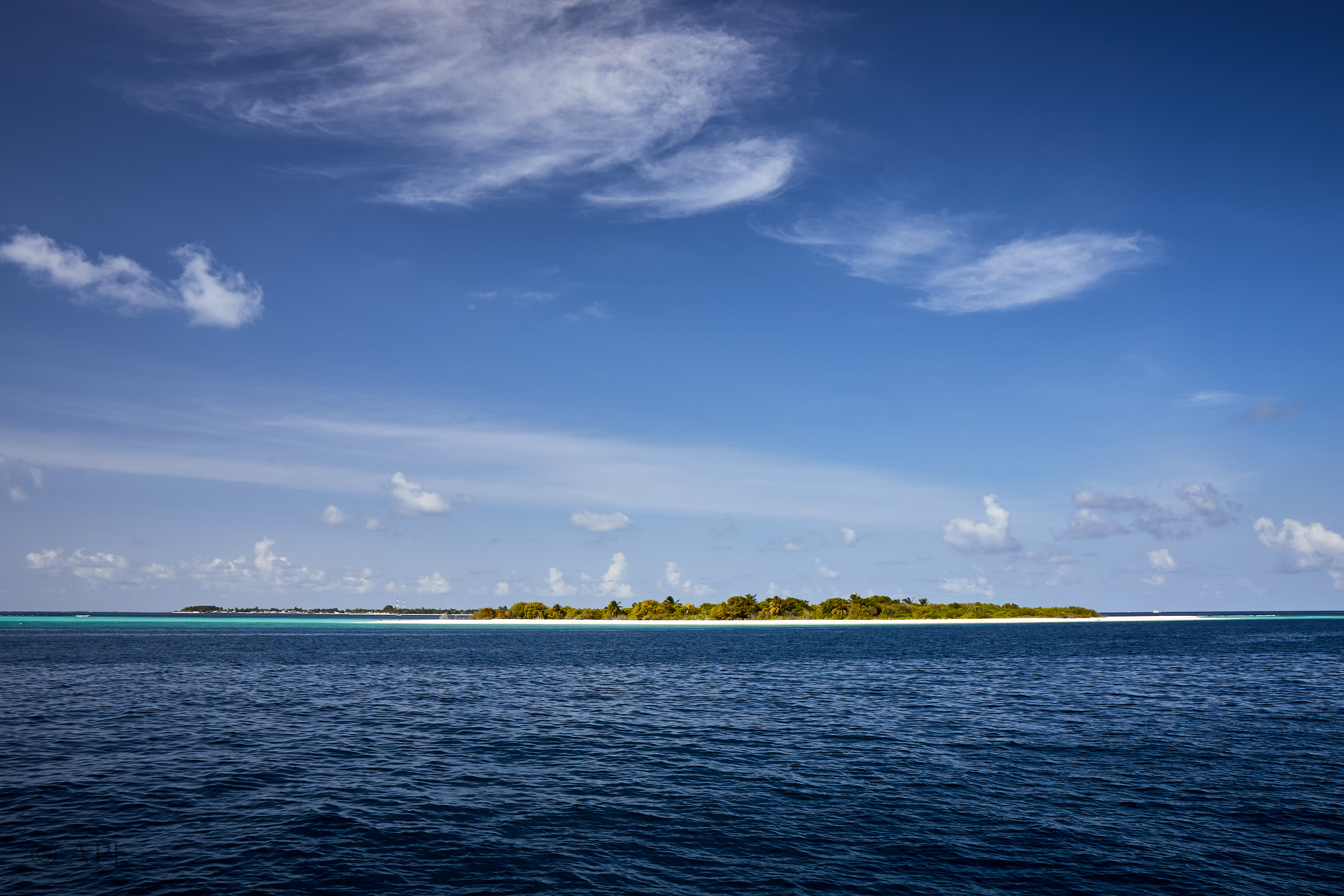 003708 16 08 17  Canon EOS 7D Mark II   Malediven2017